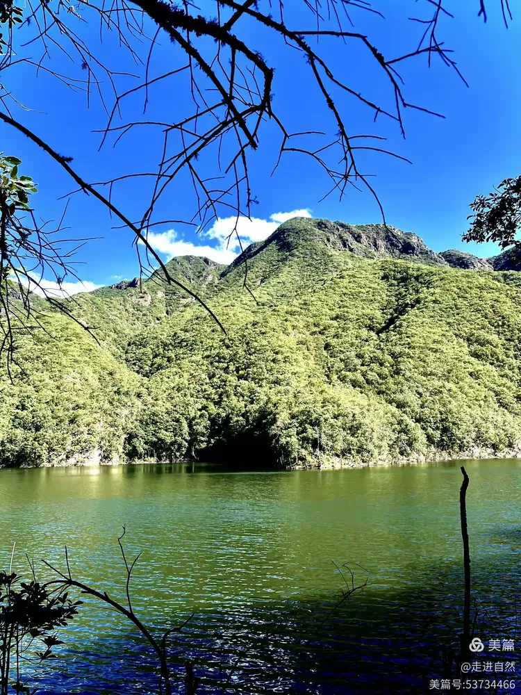 美的风景的美篇